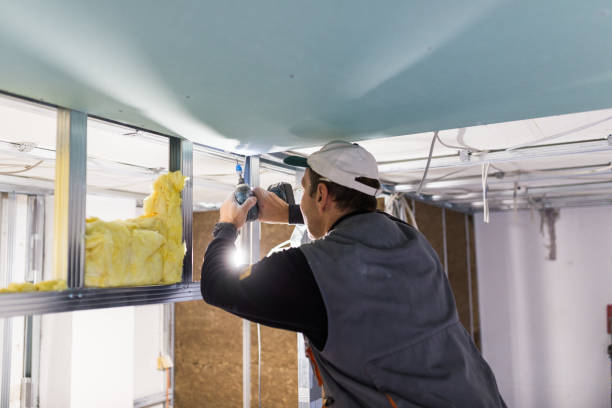 Best Insulation Replacement Services  in Appalachia, VA