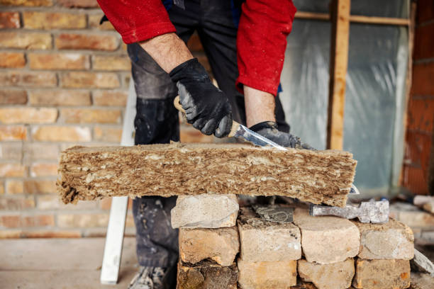 Best Insulation Removal  in Appalachia, VA