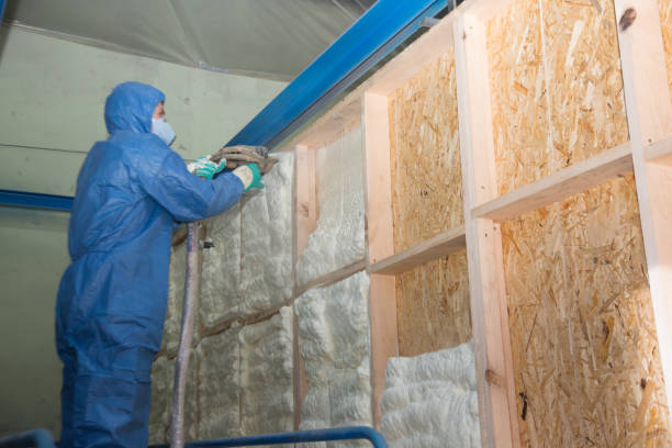 Best Cellulose Insulation  in Appalachia, VA